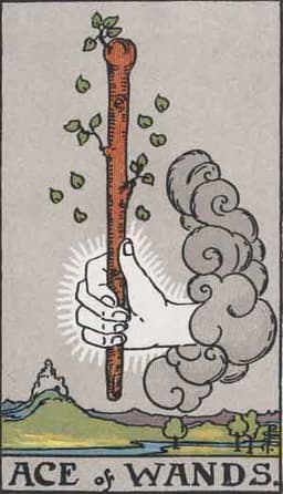 Карта Таро Туз Жезлов — Ace of Wands